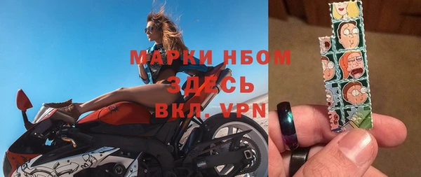 ГАЛЛЮЦИНОГЕННЫЕ ГРИБЫ Богданович