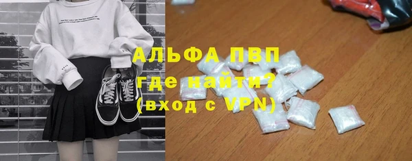 ГАЛЛЮЦИНОГЕННЫЕ ГРИБЫ Богданович