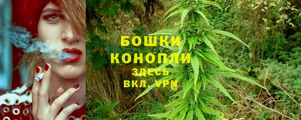 ГАЛЛЮЦИНОГЕННЫЕ ГРИБЫ Богданович