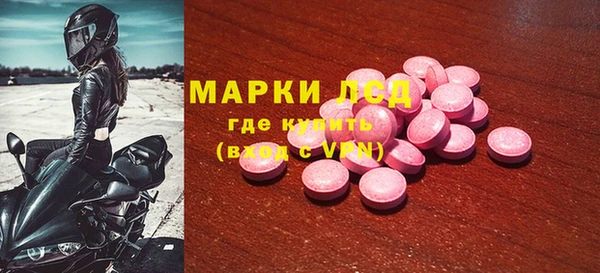 ГАЛЛЮЦИНОГЕННЫЕ ГРИБЫ Богданович