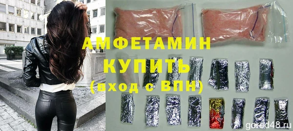 ГАЛЛЮЦИНОГЕННЫЕ ГРИБЫ Богданович