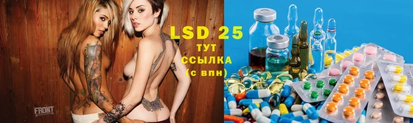 ГАЛЛЮЦИНОГЕННЫЕ ГРИБЫ Богданович